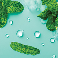 Melatonin Spray Bild zu Effizientere Absorption