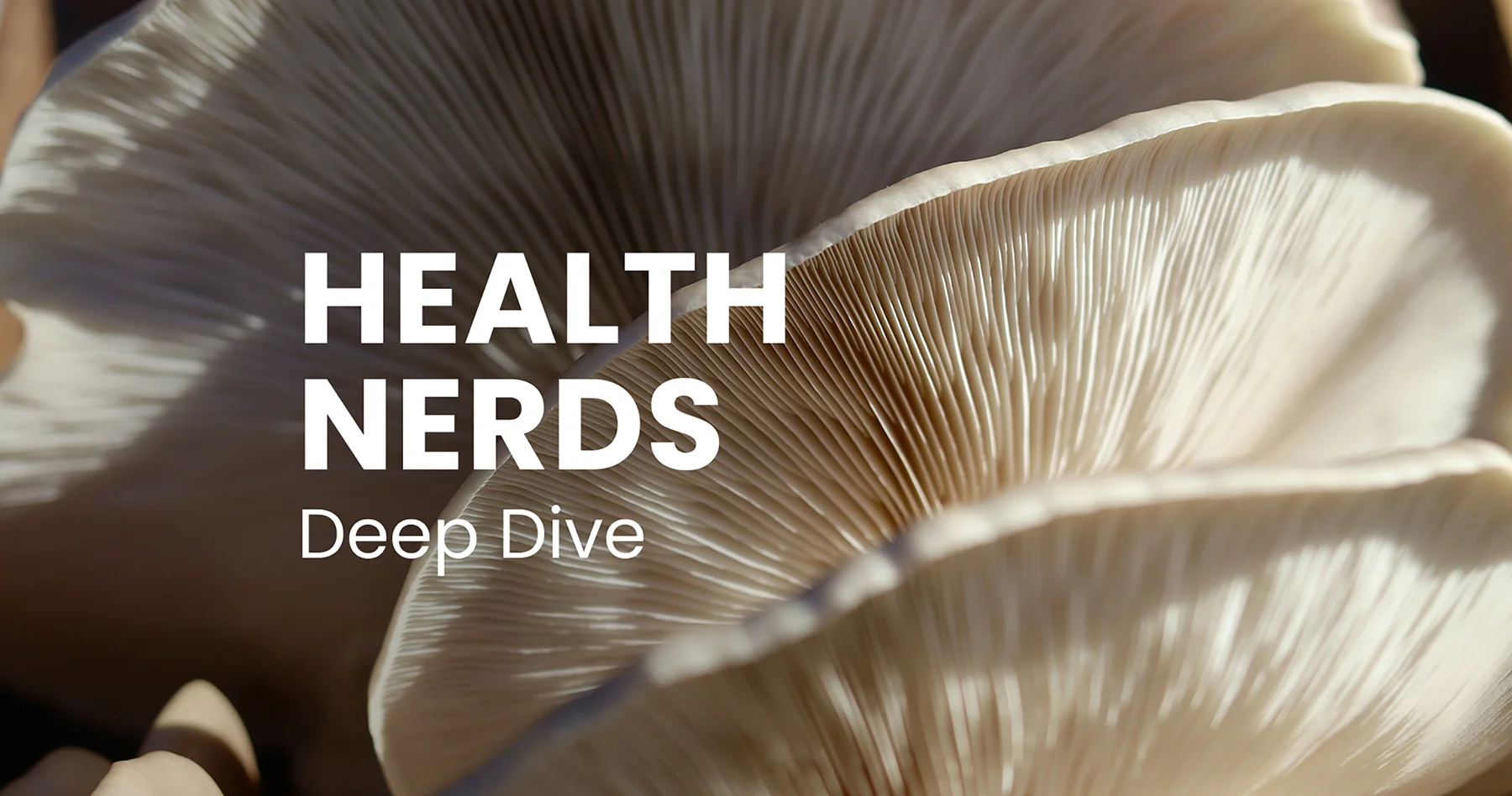 Deep Dive Podcast: Beta Glucan als gehypter Ballaststoff