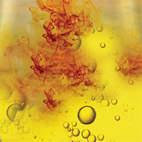 Schilddrüsen Komplex Bild zu Abgestimmter Komplex mit Jod, Selen und Zink