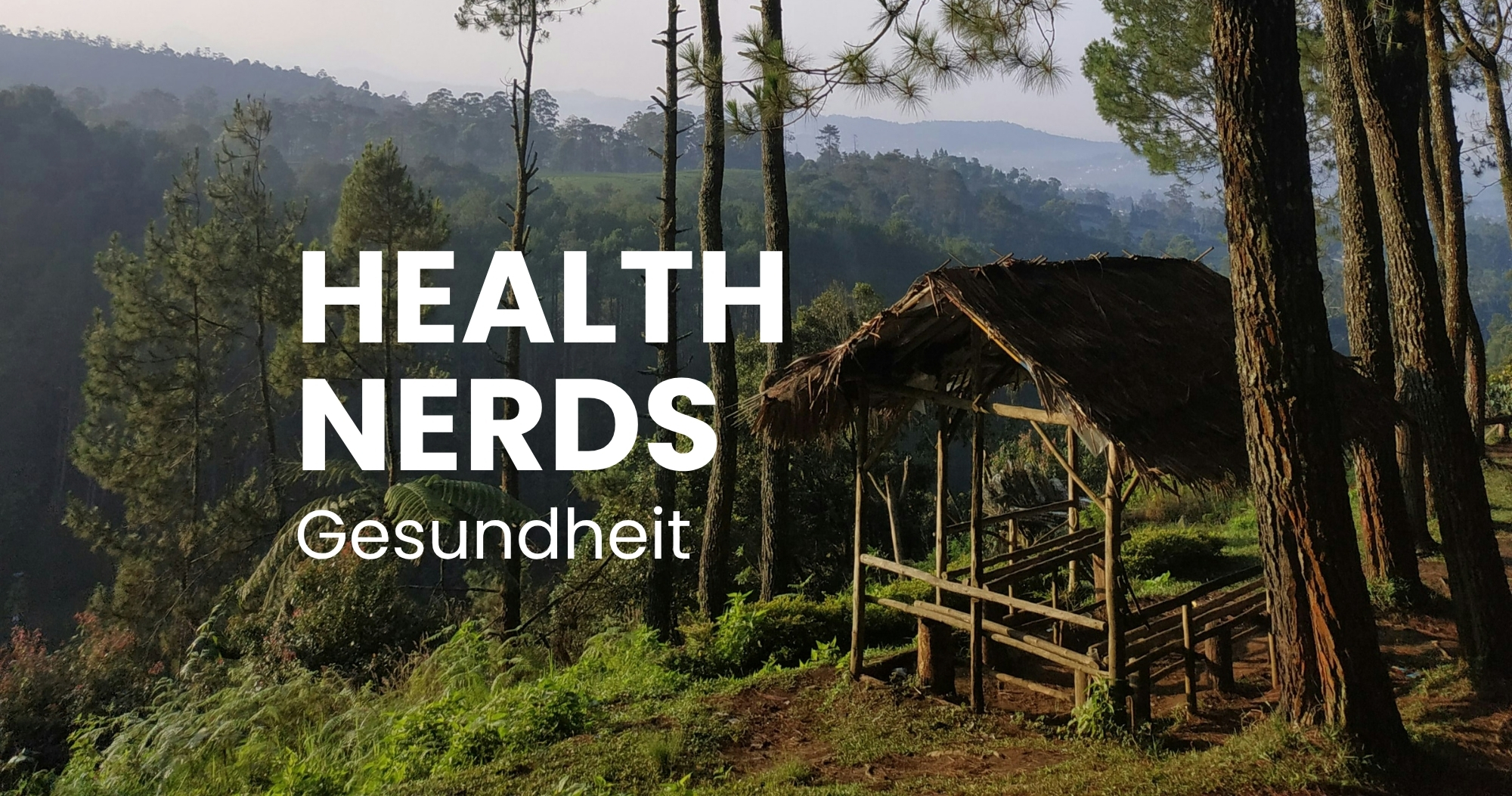 Nahrungsergänzungsmittel