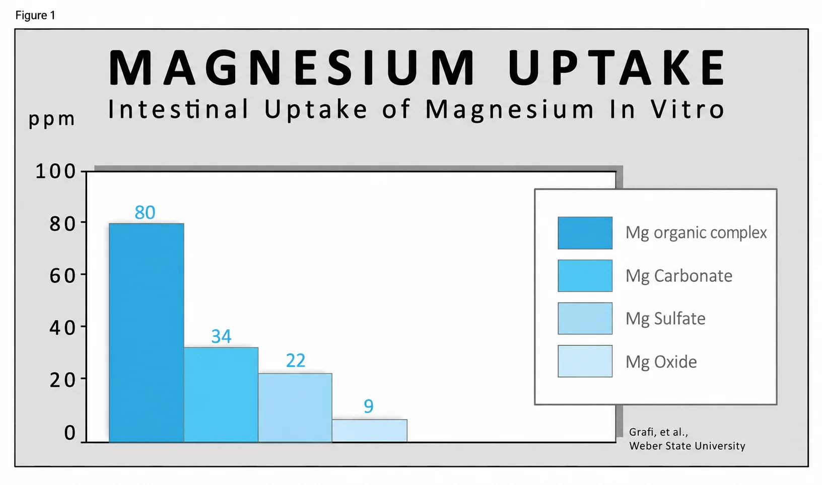 Magnesiumaufnahme im Vergleich