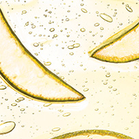 Daily Essentials Set Bild zu Essenzielle Nährstoffkombination