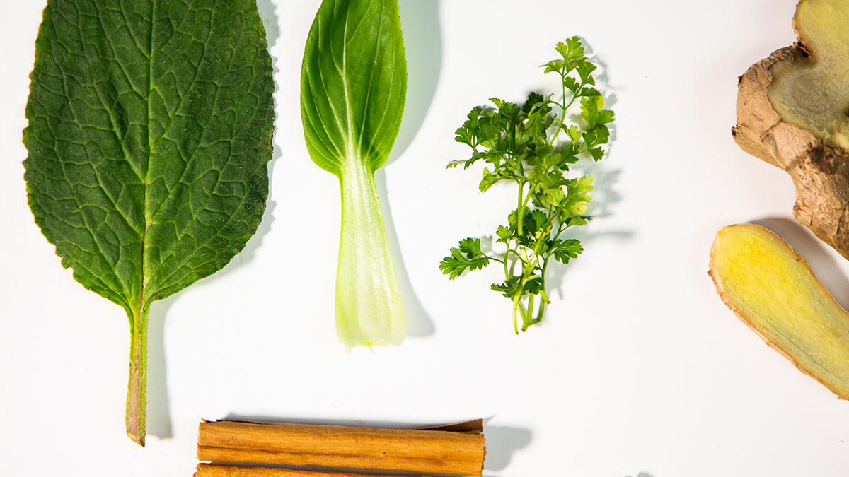 Wie entgifte ich meinen Körper? Artgerechte Tipps zum gesunden Fasten