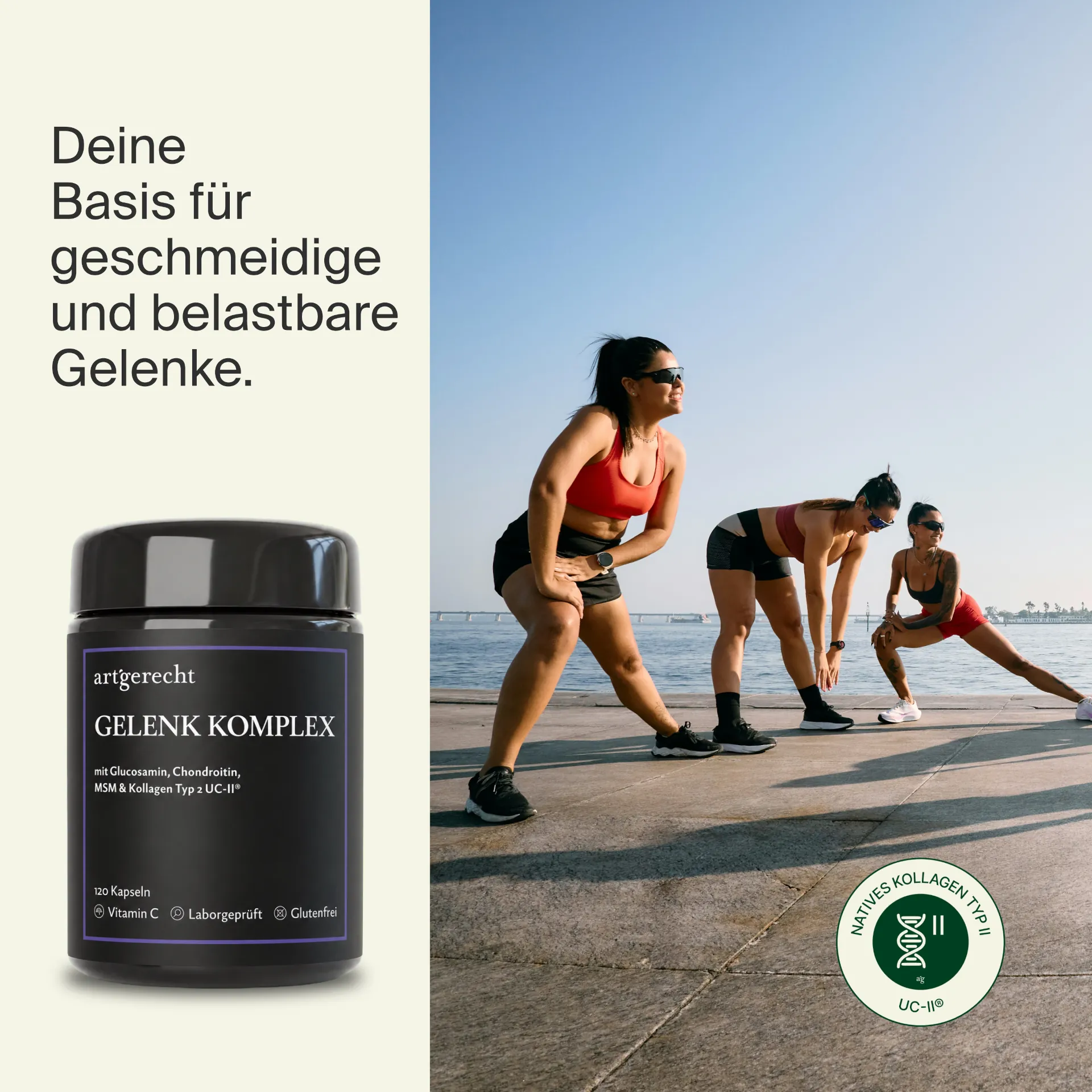 Gelenk Komplex