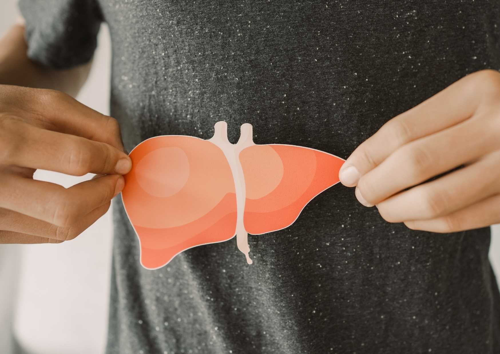 Understanding, recognizing, and treating fatty liver disease – actively supporting liver health