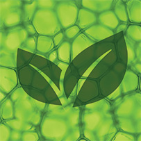 Schilddrüsen Komplex Bild zu Organischer Komplex zu 100% aus natürlichen Quellen