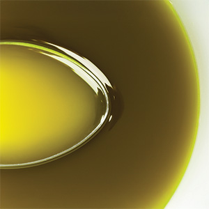 Phenolio Olivenöl (Bio) Bild zu Stiftung Warentest Sieger