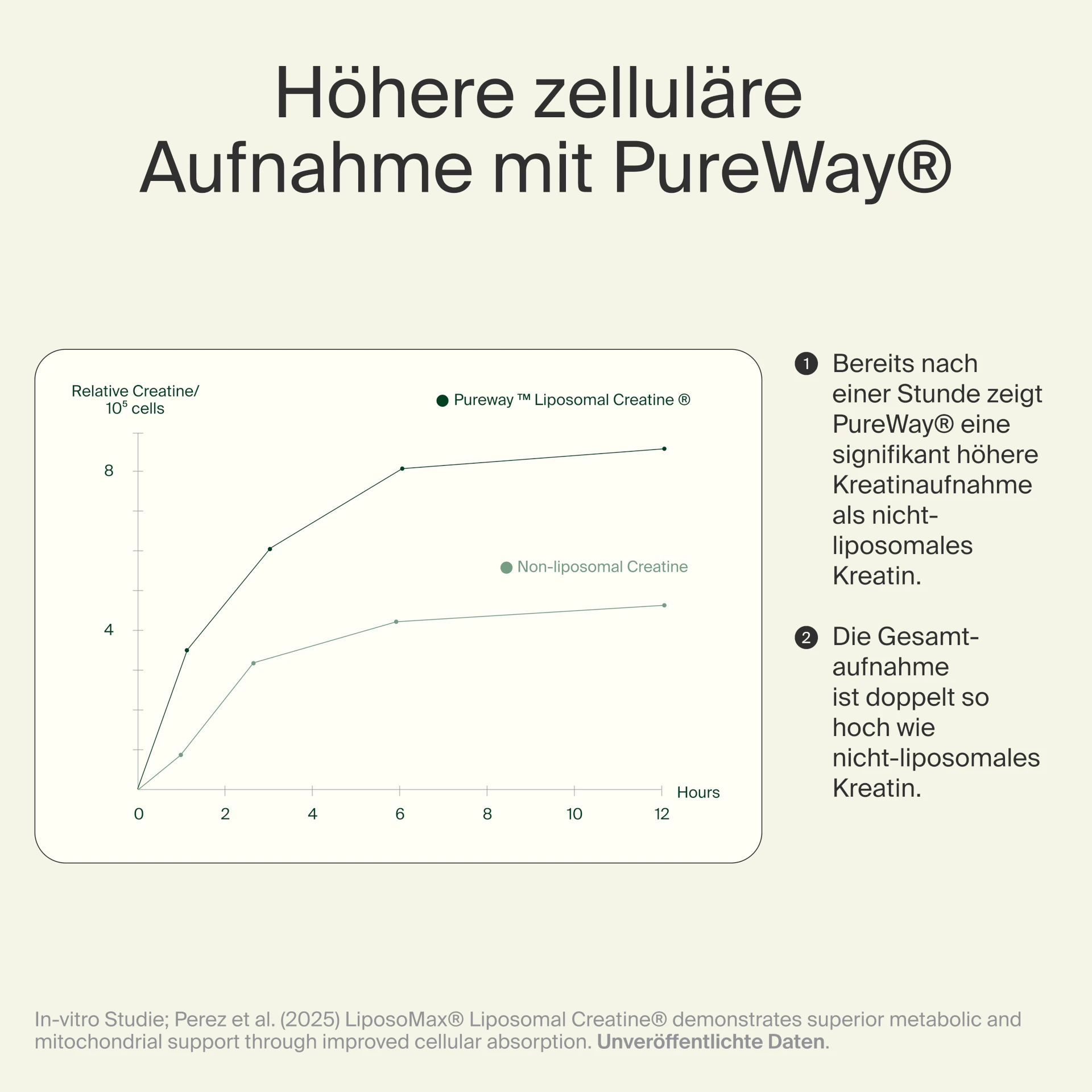 PureWay® Kreatin