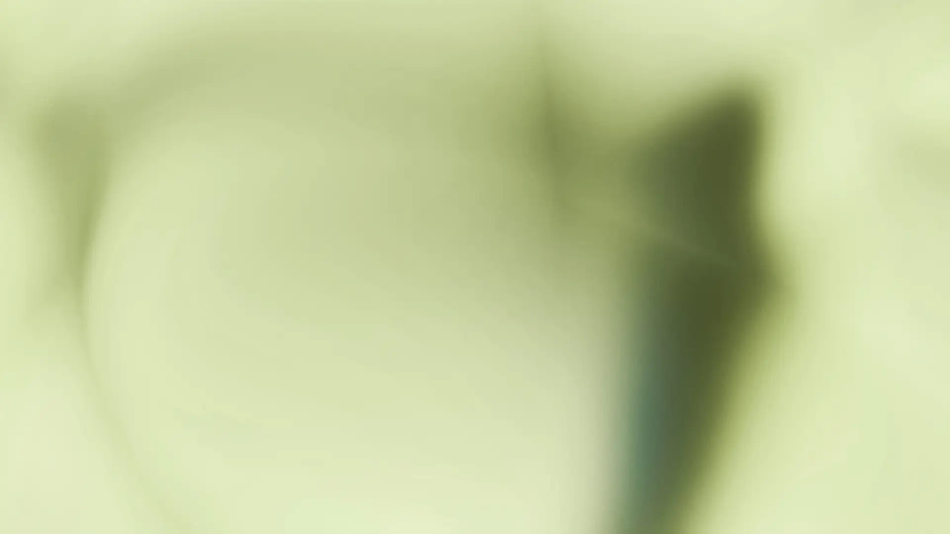 Lactoferrin Immun+ Sticks Bild zu Unterstützung des Energiestoffwechsels⁴