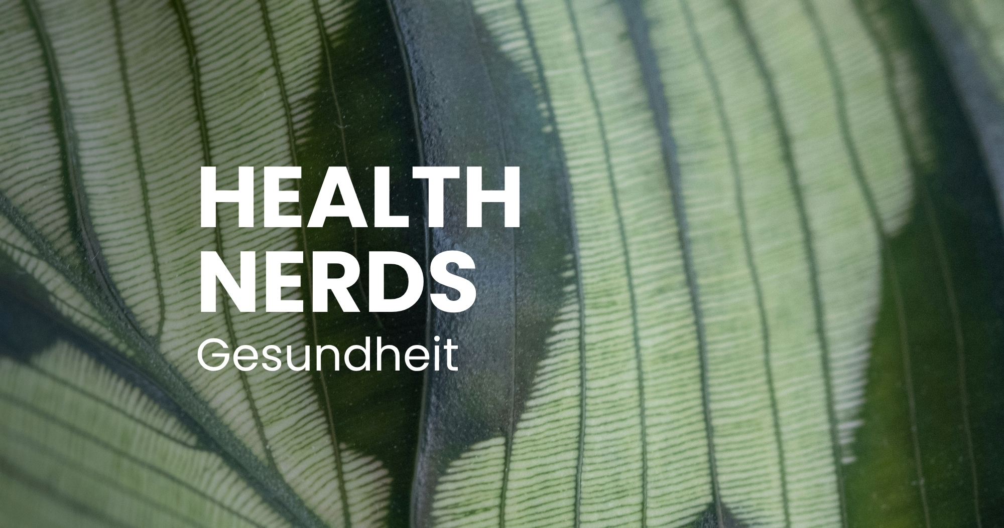 Nahrungsergänzungsmittel