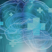 Omega 3 Vegan High EPA Bild zu Niedriger TOTOX Wert (5,9)