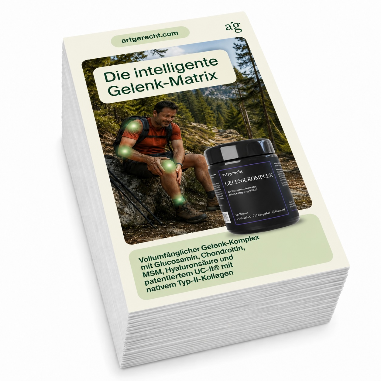stapel flyer gelenkkomplex?ts=1785251721