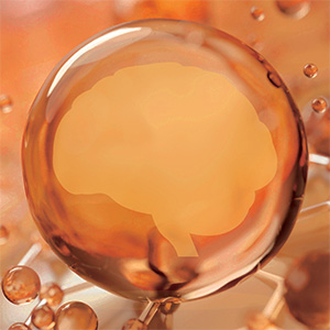 Vitamin B12 Spray Bild zu For the nervous system and immune system²