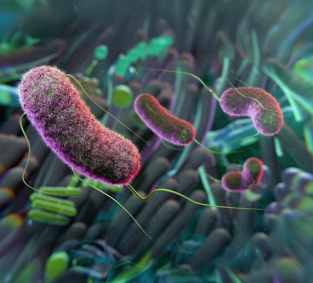 Übersicht der Inhaltsstoffe von Darmkur Reset BiomBalance – natürlich & rein