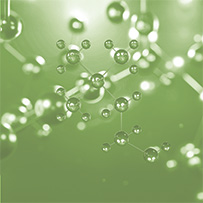 Liver Complex OPC Bild zu Bioactive Choline