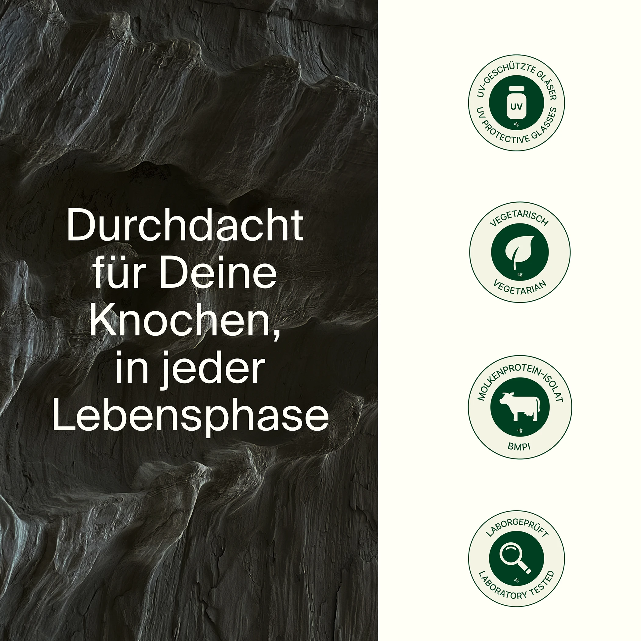 Knochen Komplex
