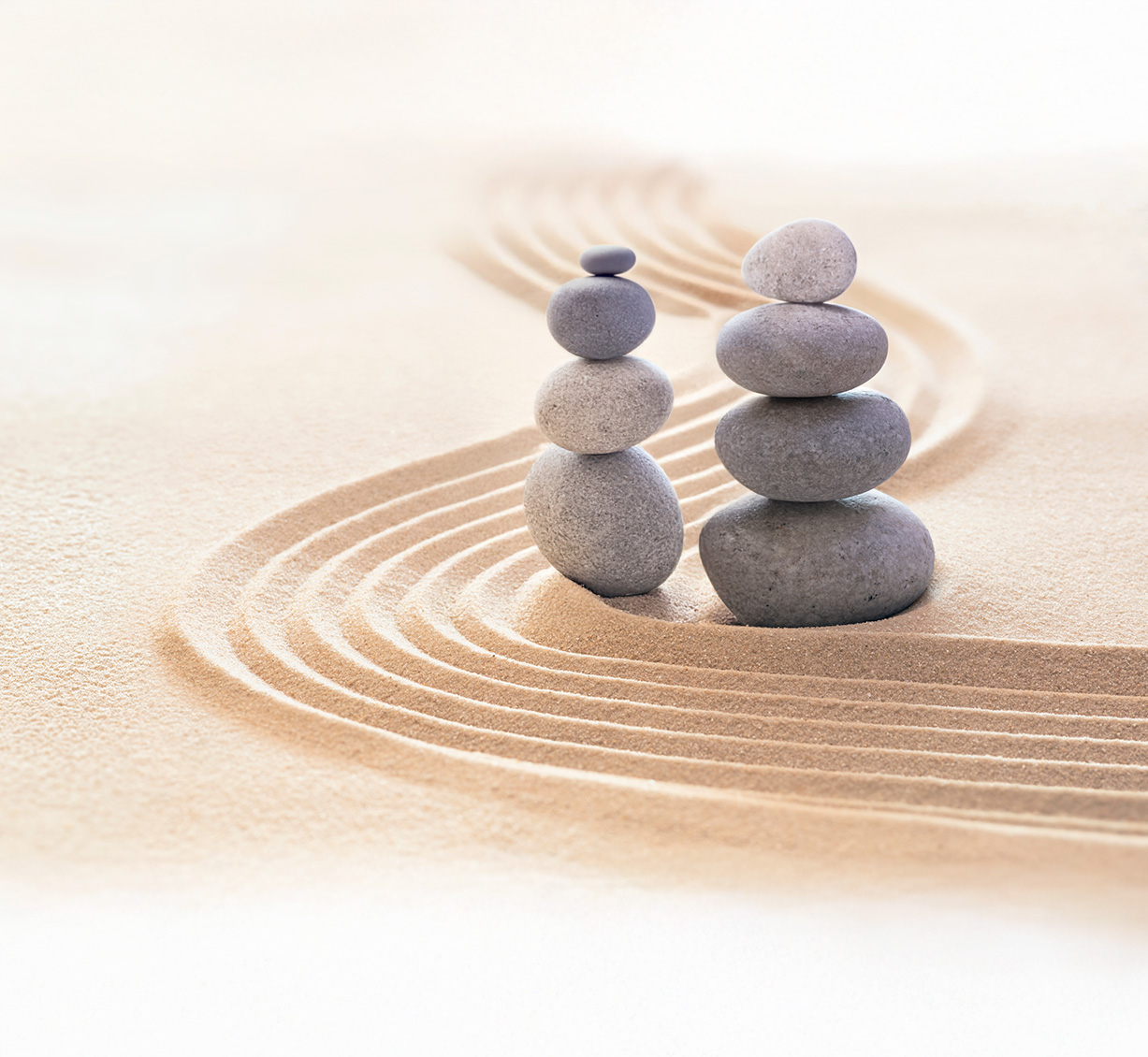 Darstellung von Reset Darmkur – natürliche Unterstützung für dein Immunsystem