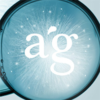 Nzym Enzym Komplex Bild zu 100% aus artgerechte Quellen (Mikro-Pilzen, Hefen, Pflanzen)