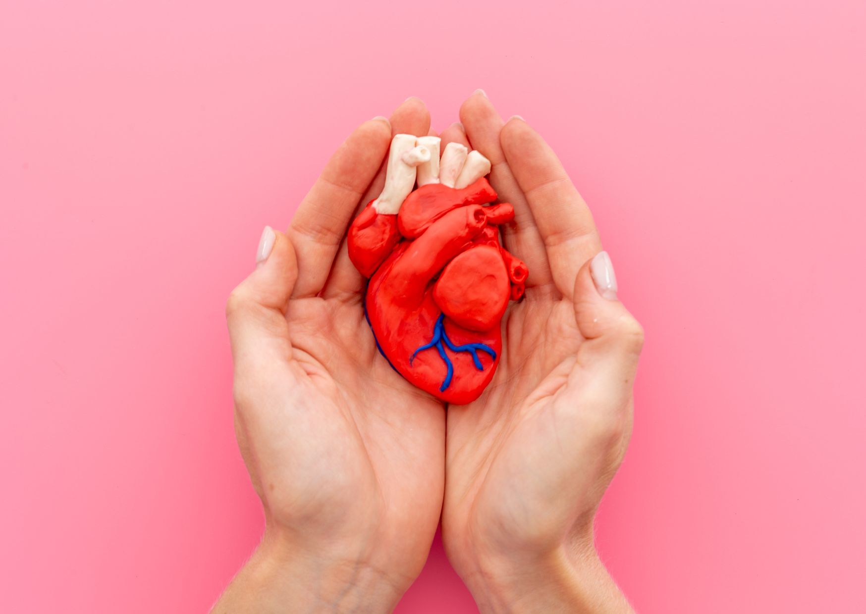 Resveratrol für die Herzgesundheit – Natürlicher Schutzschild für das Herz?