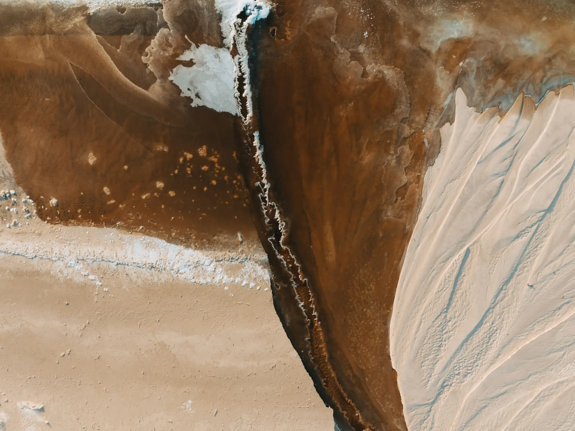 Produktbild von Enzym Komplex von artgerecht – hochwertige Qualität