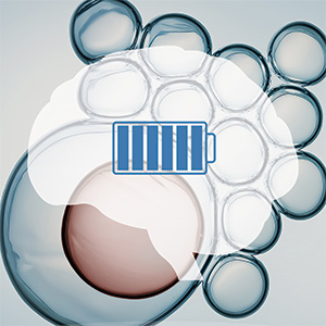 Q10 PQQ Complex Bild zu  Modern formula without unnecessary additives