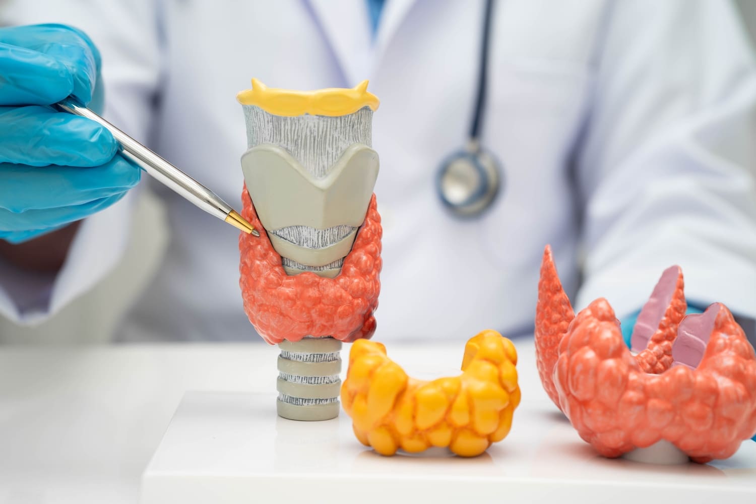 Hypothyreose und Übergewicht – Aktuelle Erkenntnisse und Daten