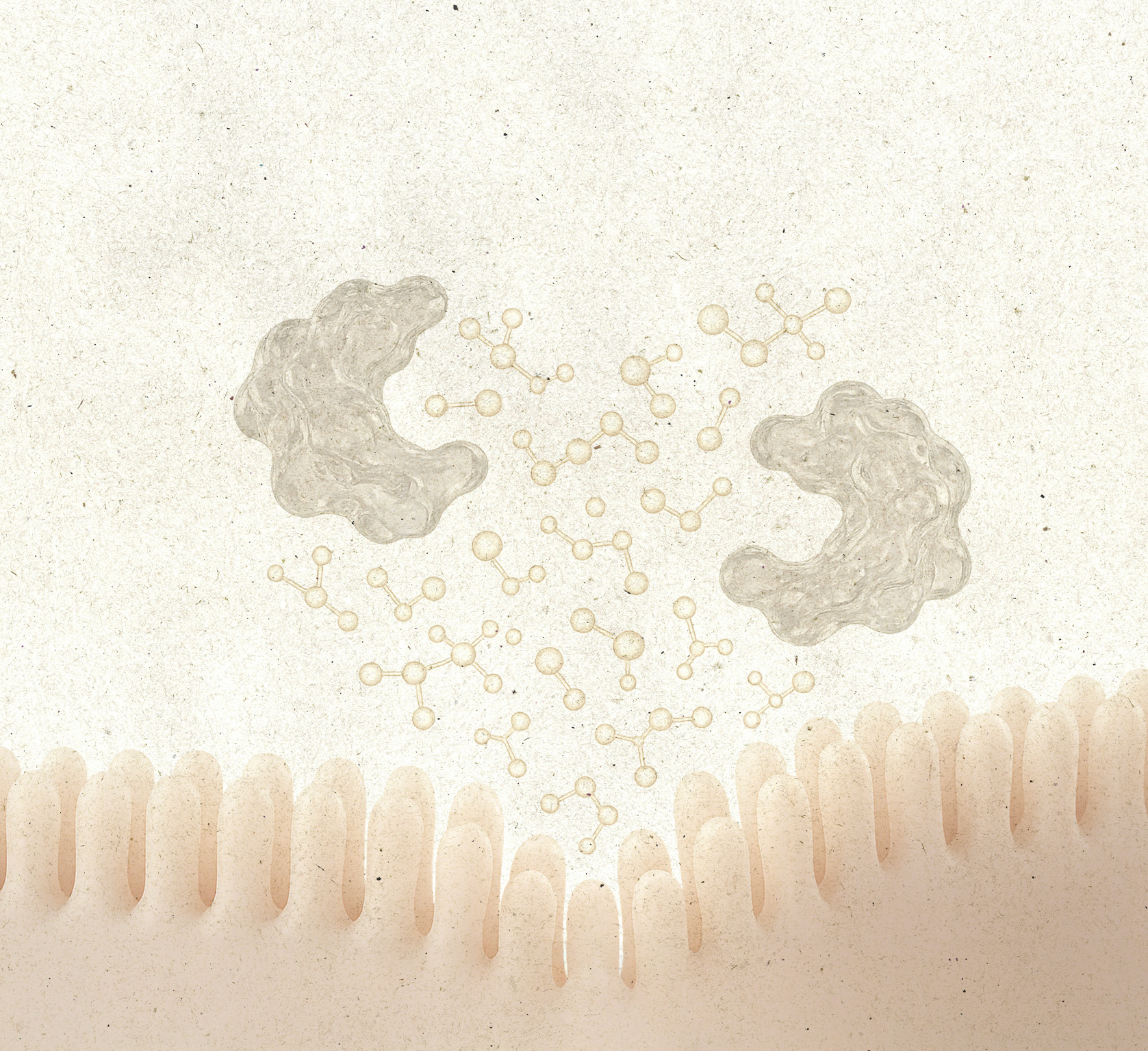 Symbolbild für FAQ zu Nzym Enzym Komplex – Antworten auf deine Fragen