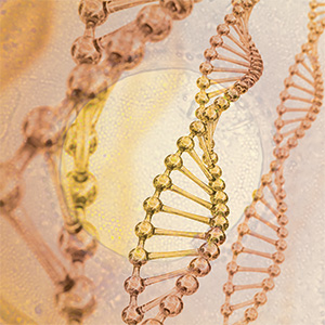 Astaxanthin Bild zu Anti-Aging Effekt