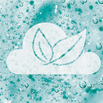 Omega 3 Vegan High EPA Bild zu Schadstoffarme Kultivierung