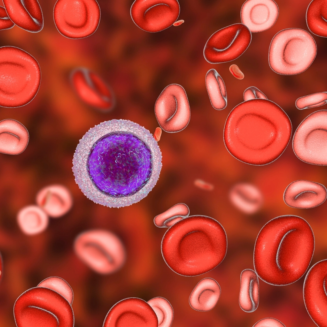 Female Balance Set Bild zu Eisenbindung -und Transport