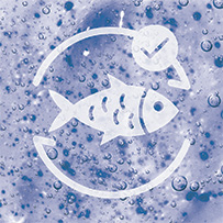 Omega 3 Bild zu Nachhaltiger Wildfang