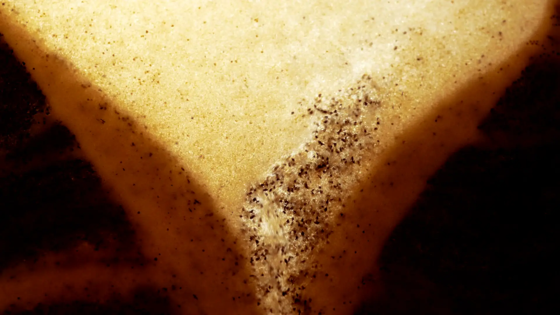 Darstellung von Spermidin Longevity – natürliche Unterstützung für dein Immunsystem