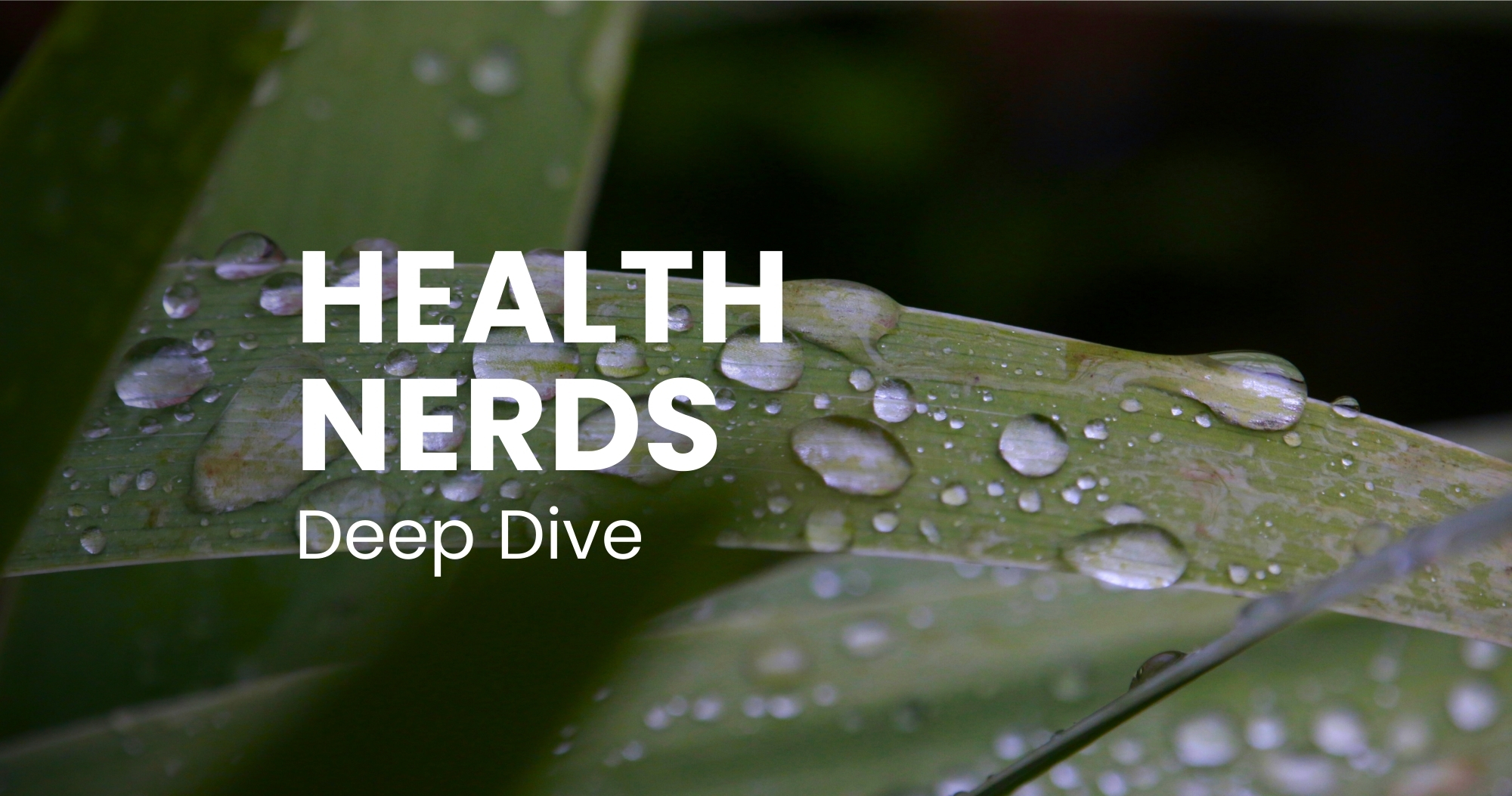 DEEP DIVE – Vitamin B12 SPRAY mit 5-fach erhöhter Bioverfügbarkeit