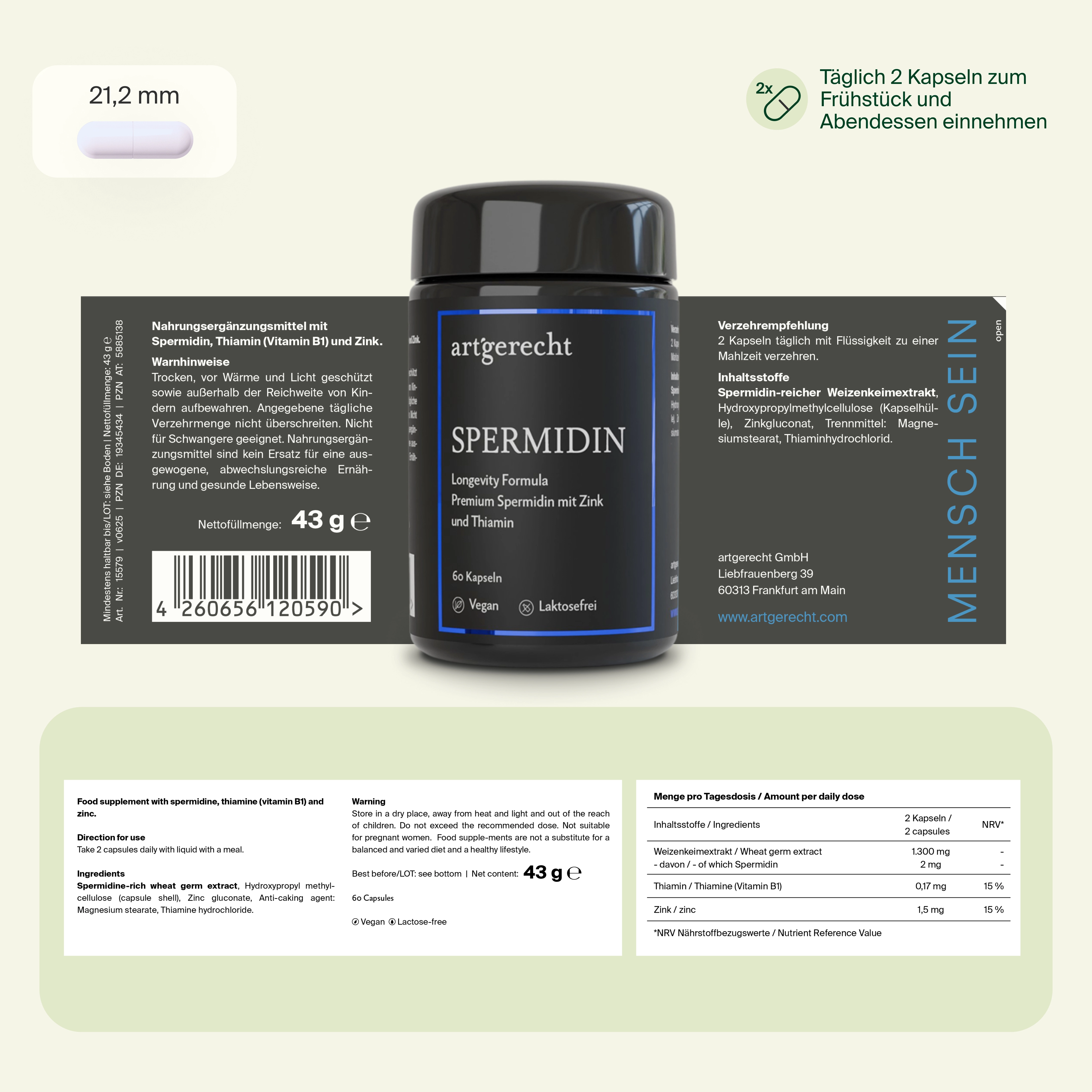 Spermidin Longevity
