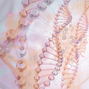 Lactoferrin Immun+ Bild zu Patentierte Milchsäurebakterien: AB21®