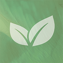 Liver Complex OPC Bild zu 100% plant-based