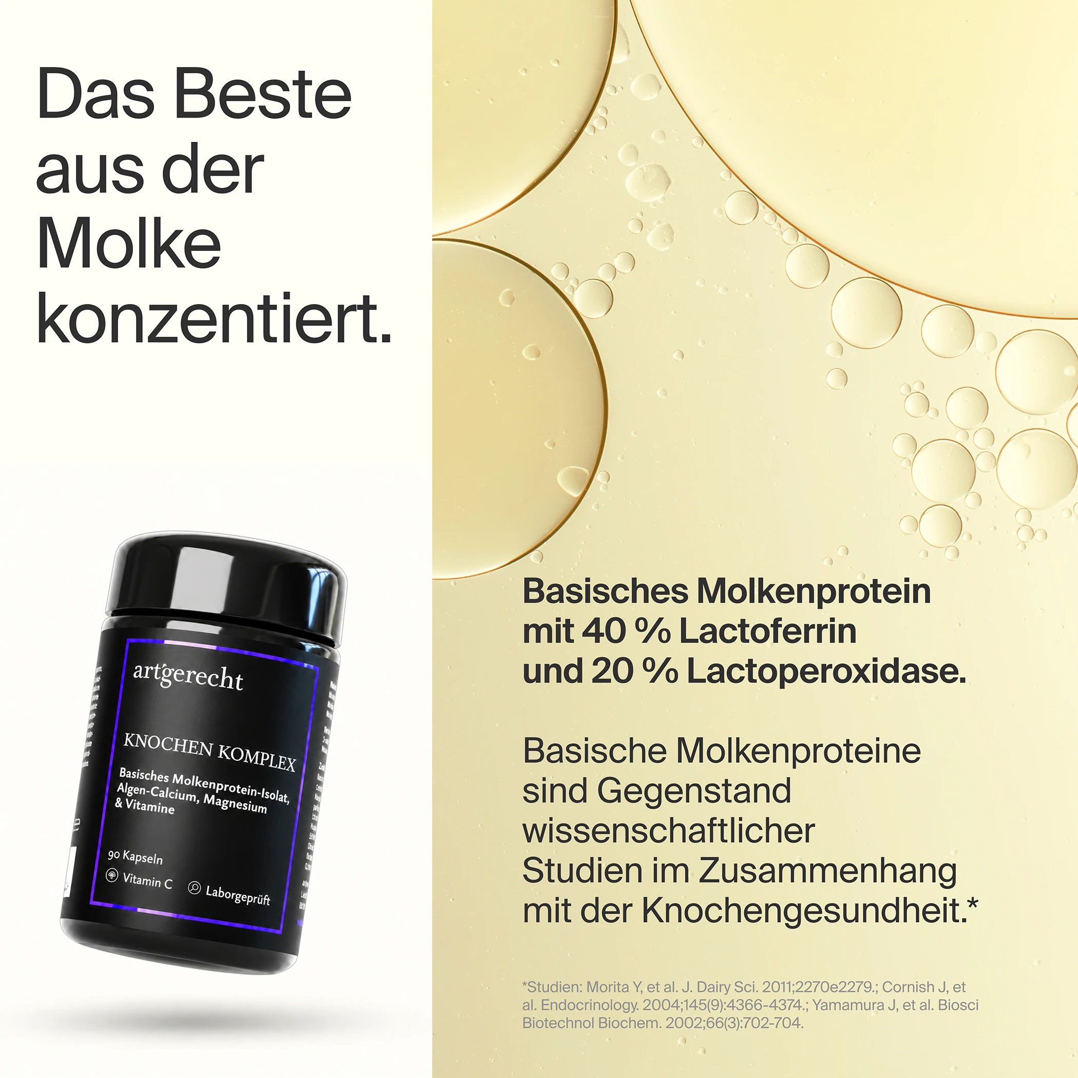 Knochen Komplex