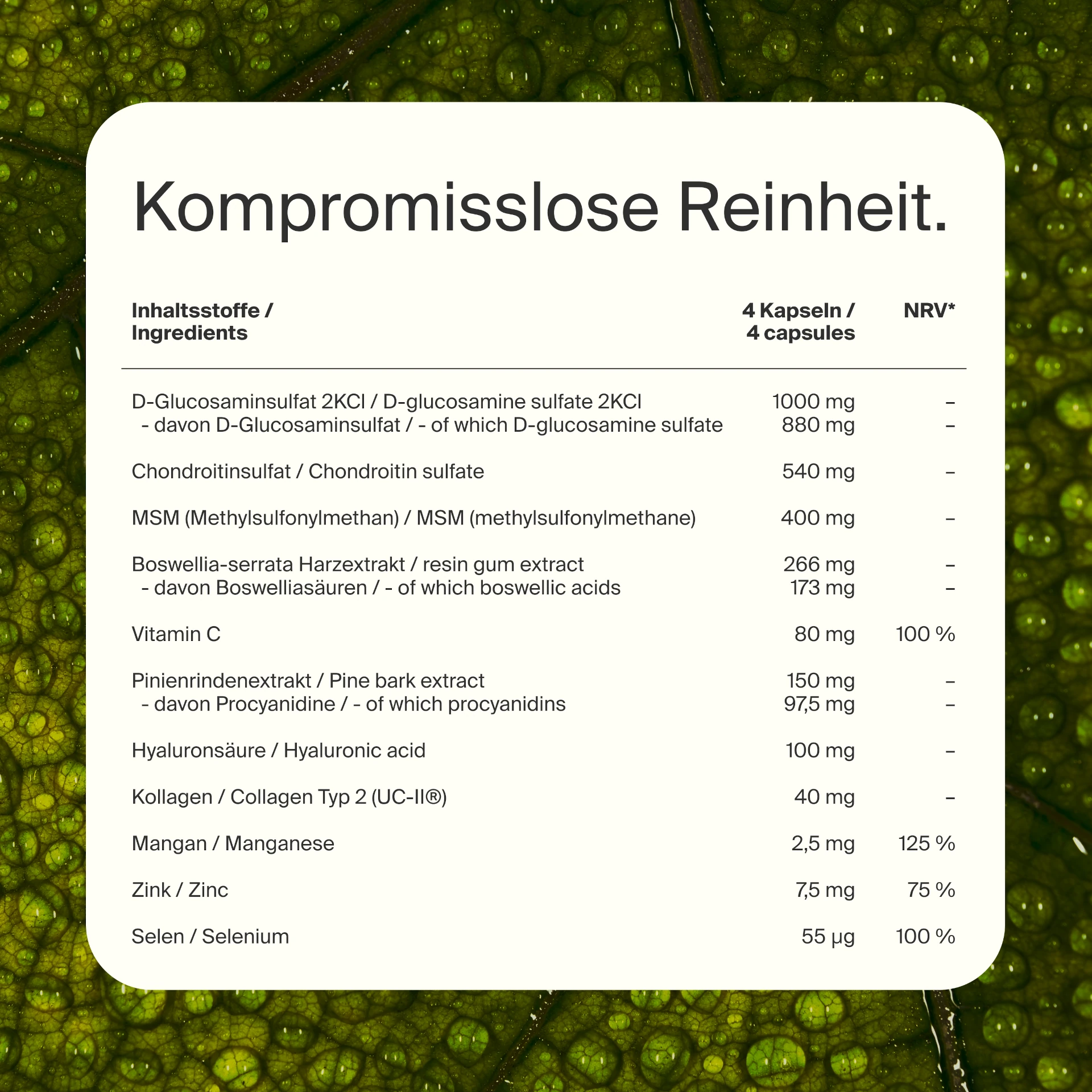 Gelenk Komplex