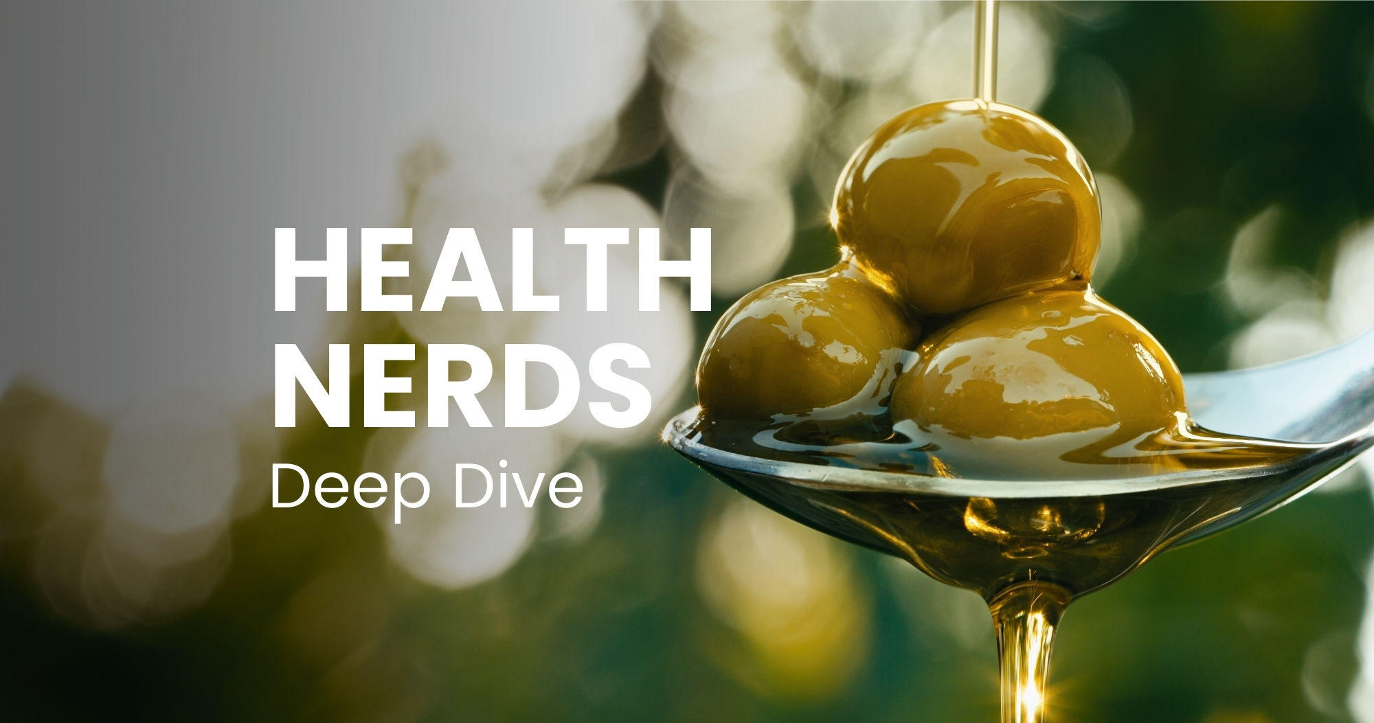 DEEP DIVE – Olivenöl (Polyphenole)