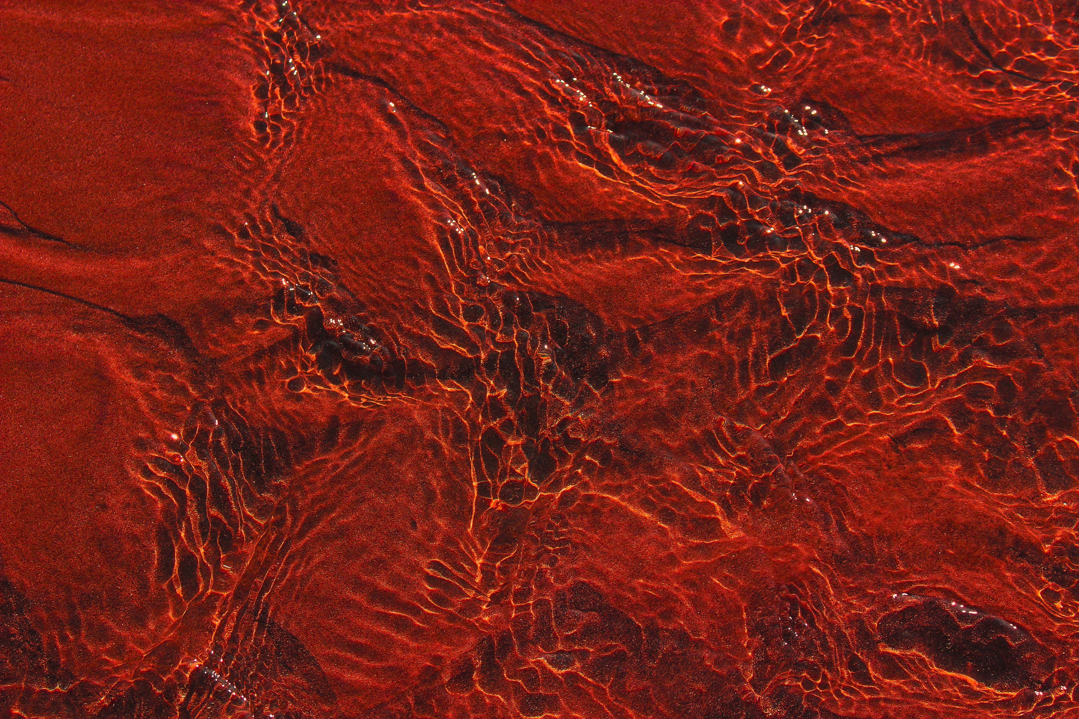 Infografik zur wissenschaftlichen Forschung rund um Natural Iron CLN® | Eisen Komplex