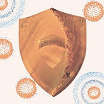 Female Balance Set Bild zu Immunity 