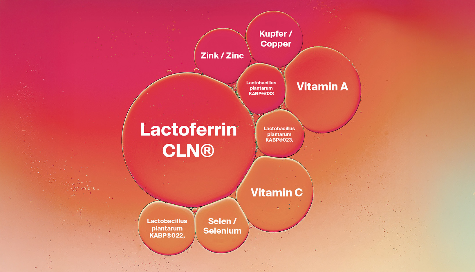 immun-lactoferrin-probiotika-vitamine-vitamin-c-a-zink-selen-mehr_(1)