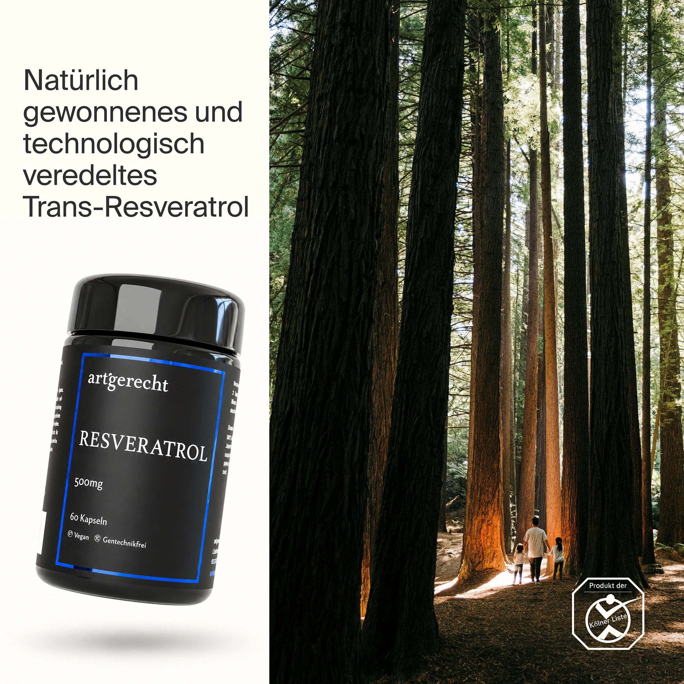 Resveratrol Longevity