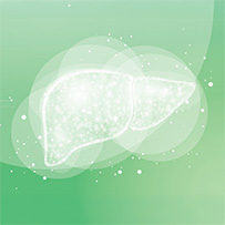 Liver Complex OPC Bild zu Detoxification¹