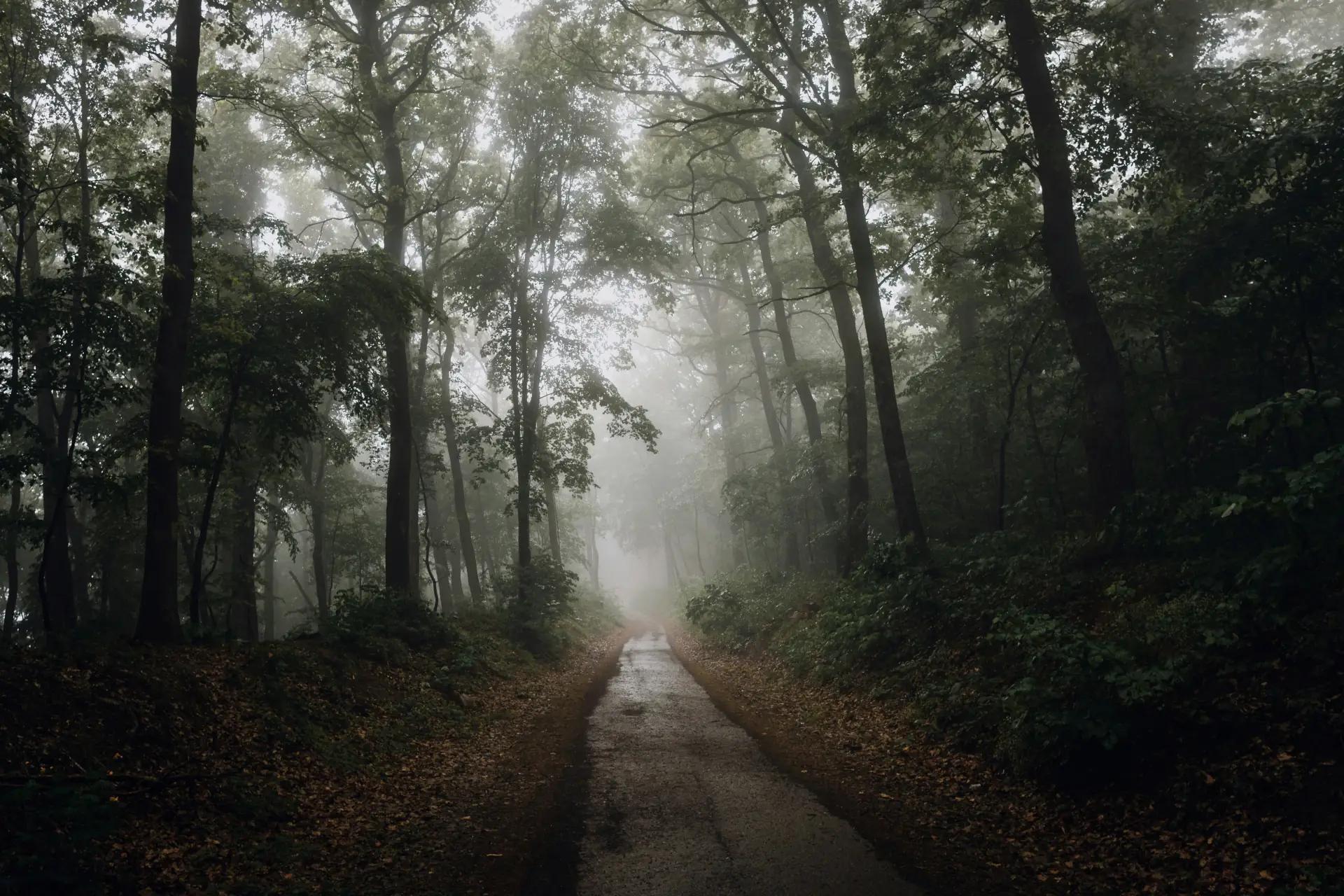 Vitamin D3 + K1 + K2 1.000 I.E. Bild zu Speziell für die kalte Jahreszeit