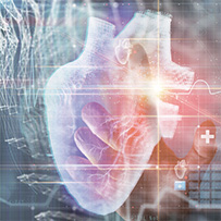 Omega 3 Bild zu Herzfunktion