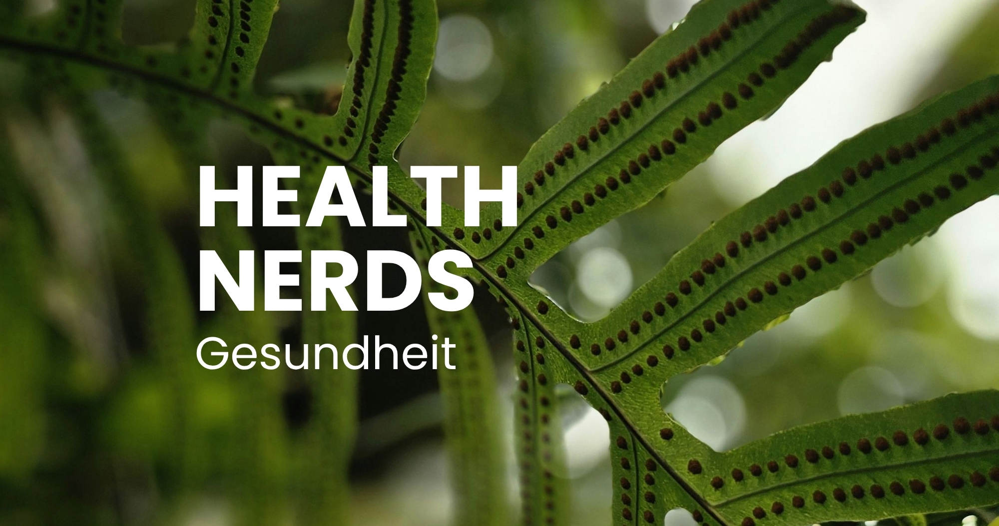 Gesundheitspodcast: Mitochondrien - "Kraftwerke der Zellen" entscheiden, wie schnell wir altern
