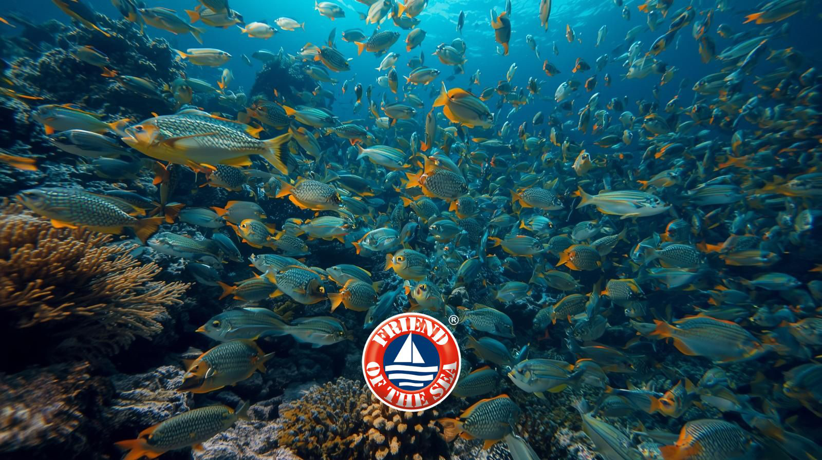 Produktbild von Kollagen von artgerecht – hochwertige Qualität