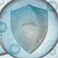 Zink Komplex 25 mg Bild zu Unterstützt die Immun-Abwehrkräfte ³