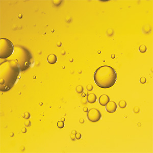 Vitamin A Bild zu Nur zwei Inhaltsstoffe